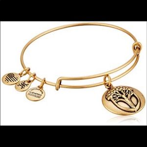 Alex and Ani gold “unexpected miracles II”